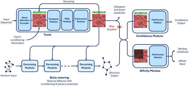 Boltz-2 architecture and benchmarking summary